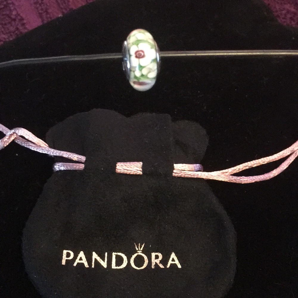 Authentic Pandora Charm - Picture 2 of 4